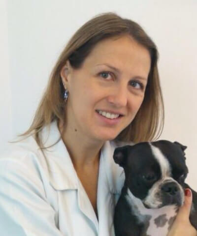 Paula Cava Rodrigues – Veterinária Oncologista