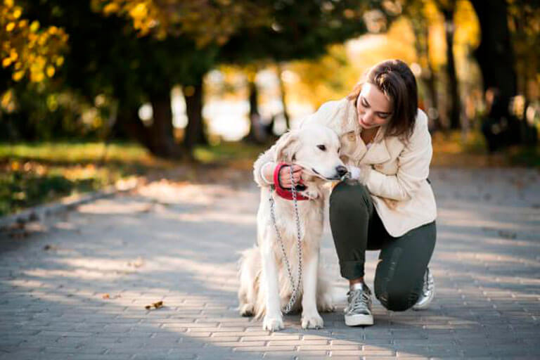 Berne Em Cães: Confira Como Identificar e Qual o Melhor Tratamento!
