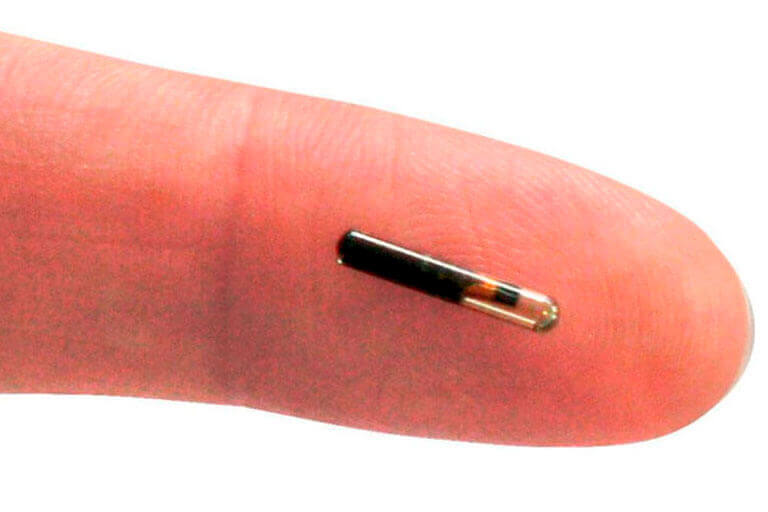 Microchip Veterinário