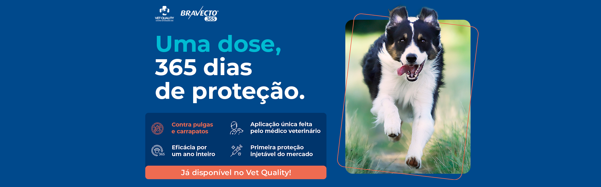 MAIO-[ENXOVAL]-[VQ]-[BRAVECTO-365]BANNER-SITE-01---1920x600px