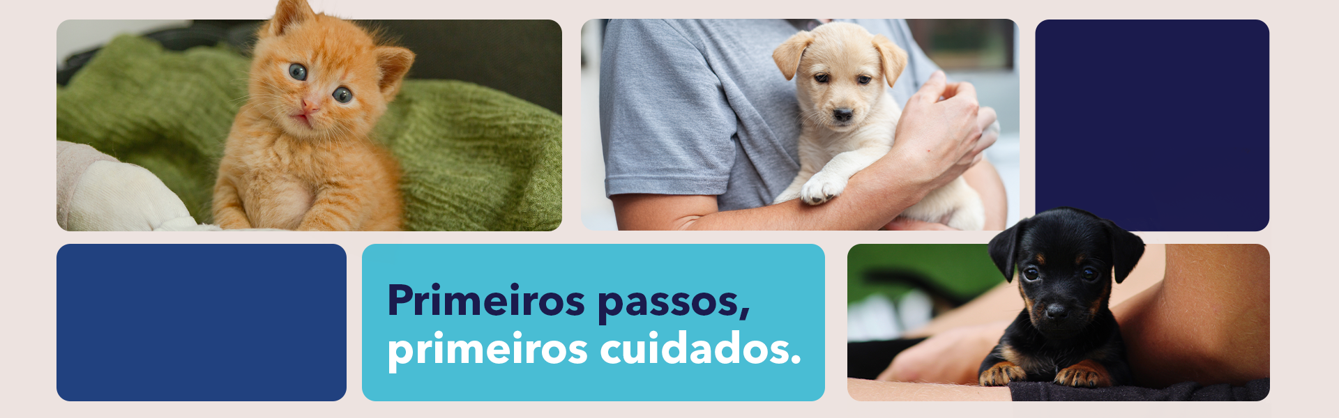 [VET QUALITY] Enxoval mês dos filhotes - Banner Site